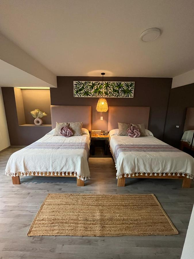 Zen Suites By Regente Oaxaca Exteriér fotografie