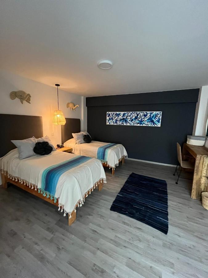 Zen Suites By Regente Oaxaca Exteriér fotografie