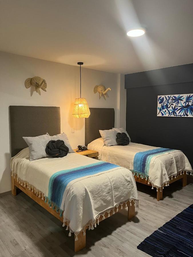 Zen Suites By Regente Oaxaca Exteriér fotografie