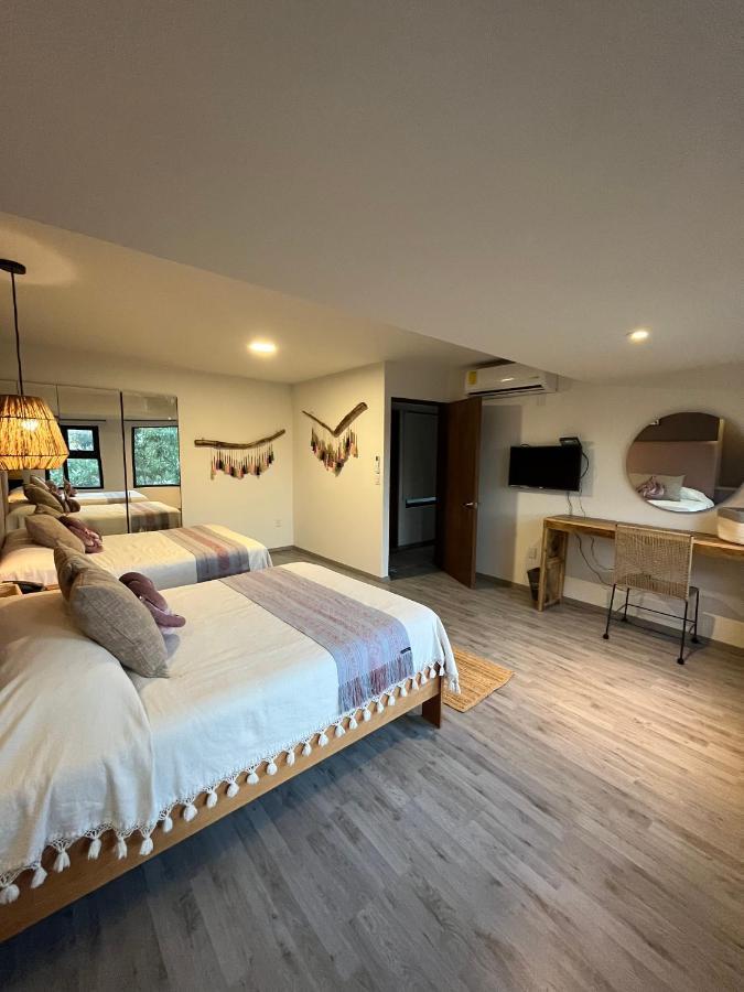 Zen Suites By Regente Oaxaca Exteriér fotografie